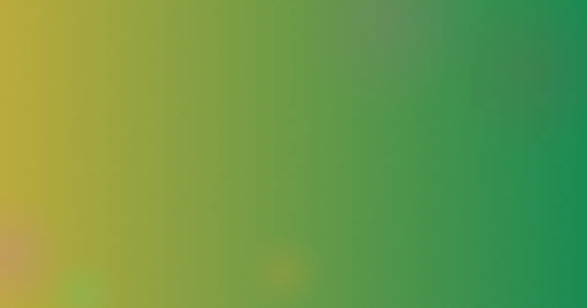 91老司机视频是什么